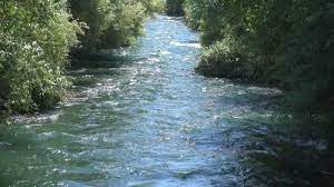 How to block content by tags. 6 000 Best River Videos 100 Free Download Pexels Stock Videos