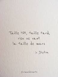Taille Tot Taille Tard Dicton Saint Du Jour Saint