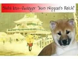 Shiba inu is meme based decentralized finance i.e., defi token that grow into energetic ecosystem. Shiba Inu Kaufen Rassehunde Per Inserat Finden