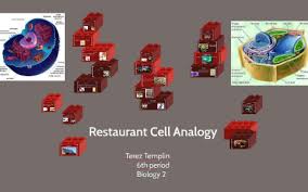 We did not find results for: Restaurant Cell Analogy By Autumn Templin