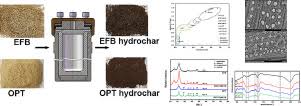 Samples were prepared via solution casting method with different loading of opefb fibre range from 5 wt% to 30 wt%. Wet Torrefaction Of Empty Fruit Bunches Efb And Oil Palm Trunks Opt Effects Of Process Parameters On Their Physicochemical And Structural Properties Sciencedirect