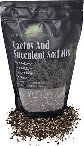 Scientific differences between succulents and cacti. Amazon Com Succulent Cactus Soil Mix Premium Pre Mixed Fast Draining Blend 1 25 Dry Quarts Garden Outdoor