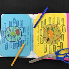 Structurally, plant and animal cells are very similar because they are both eukaryotic cells. Plant And Animal Cells Lesson Plan A Complete Science Lesson Using The 5e Method Of Instruction Kesler Science