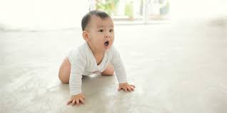 Saat bayi berusia 7 bulan, tibalah waktunya bayi beradaptasi dengan. Perkembangan Bayi 7 Bulan Mulai Tumbuh Gigi Dan Merangkak Ke Segala Arah