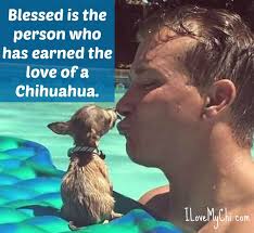 Nancy Heacock (heacock0614)