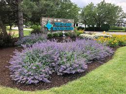 Check spelling or type a new query. Tunzi Sons Landscaping Landscape Design Landscapers Near Me Lawn Care Frankfort Mokena New Lenox Il