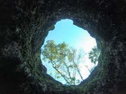 Chassahowitzka River And Springs – The Florida Guidebook
