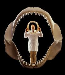 This lineage can be traced back to the cretaceous period. The Real Megalodon Prehistoric Shark Behind Doc Uproar