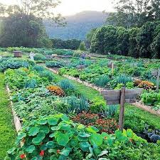 Dreams For The Garden Corner Flowersgarden Garden Layout Vegetable Garden Design Dream Garden