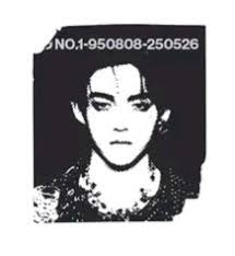 Motorcyclist accident in Ha Giang, Vietnam, highlights road safety concerns