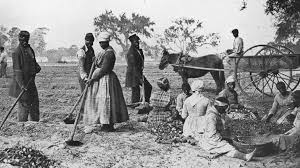 See more of nordictrack on facebook. Cardinal Piat It Is Through Slave Labor That Our Country Was Built Newsy Today