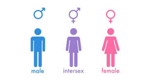 Everything inter* is permitted as long as it plays along our. An Introduction To Intersex Aka Hermaphroditism Jeffrey Sterling Md
