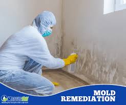 Mold Remediation & Removal in Coral Springs, FL