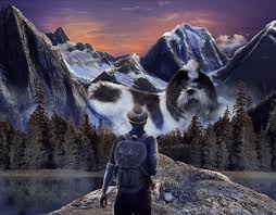 Retoque Creativo Progetti :: Photos, videos, logos, illustrations and  branding :: Behance