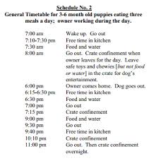 New Puppy Training Schedule Aussiedoodle And Labradoodle