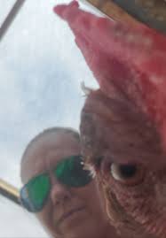 Mmmm my youngest President ever