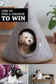 Win This Cool Pet House Cool Pets Pets Dog Cat