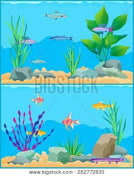 Check spelling or type a new query. Fish Underwater Vector Photo Free Trial Bigstock