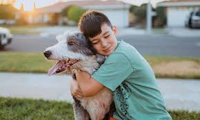 Check spelling or type a new query. Allergy Shots Help With Pet Allergies Family Allergy