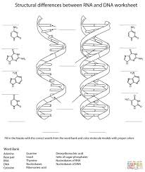 Who do we send first…? obelisktd and lottieo are proud to present a new closed species: Dna Replication Coloring Worksheet Cell Membrane Color Worksheets Animal And Plant Yr Math Games Addition Subtraction Animal Cell And Plant Cell Coloring Worksheet Coloring Pages Diary Of A Wimpy Kid Set Math
