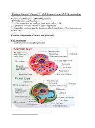 Form 4 biology kssm chapter 2 all videos are here. Biology Form 4 Chapter 2 Cell Structure And Cell Organisation Endoplasmic Reticulum Vacuole