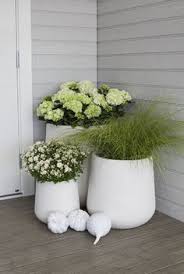Bluhende Sinne Herbstblumen Diy Garten Ideen Vorgarten Ideen Garten Vorgarten