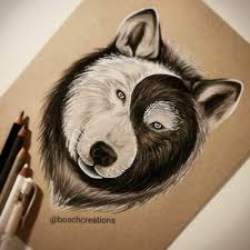 I Wish I Had Enough Talent To Draw This Art Animal Art Animal Drawings