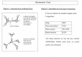 Epingle Sur Physio Pour Bts Dietetique