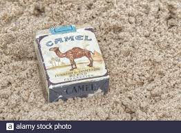 Reynolds tobacco company in the united states and by japan tobacco outside the u.s. Packet Camel Cigarettes Stockfotos Und Bilder Kaufen Alamy