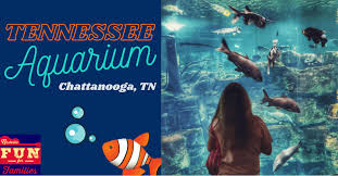 Our goal is to enhance the payment process and to quickly and efficiently meet your needs. Tennessee State Aquarium Nashville Fun For Families
