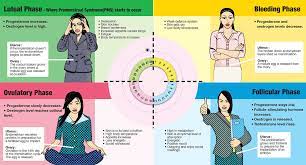 4 Phases Of Menstrual Cycle Png 1000 538 Menstrual Cycle Phases Menstrual Cycle Long Menstrual Cycle