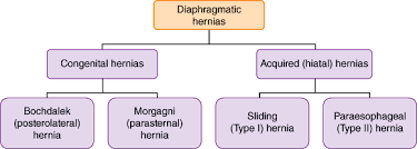 Diaphragmatic Disorders Johns Hopkins Textbook Of