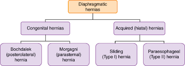 diaphragmatic disorders johns hopkins textbook of