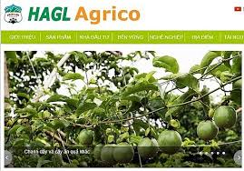 Tuy nhiên, càng tập chân sút này càng cho thấy sự thất vọng khi không có kỹ. Hagl Agrico Continues Selling Subsidiary