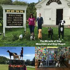 10,687 likes · 632 talking about this · 9,822 were here. The Miracle Of Dog Mountain And Dog Chapel Fidose Of Reality