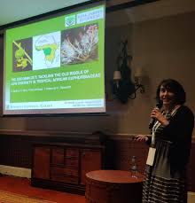 Image result for Paranecepsia