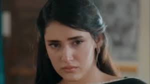 Ullu Baraye Farokht Nahi