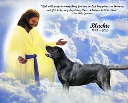 Do Dogs Go To Heaven Dog Memorial Labrador Retriever Dog Yellow Labrador Retriever