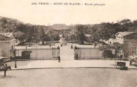 le jardin des plantes en 1900 plante jardin jardins plante