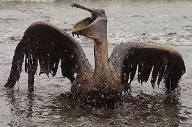 Posts About Water Pollution On Let S Do Something Oil Spill Animals Water Pollution