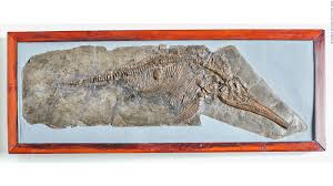 1840s england, acclaimed but overlooked fossil hunter mary anning and a young woman sent to convalesce. Ammonite And 5 Other Works About Women Overlooked By History Cnn Style