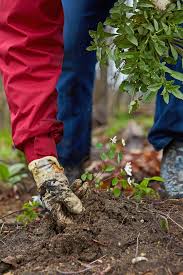 Want to grow bigger, healthier plants and veggies? Creating Rich Organic Soil In Your Garden Better Homes Gardens