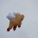 Dean Kite Festival