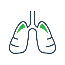 The respiratory system breathing, controlled by the respiratory system, is a continuous anything beyond that would be fatal. Respiratory Teachmephysiology