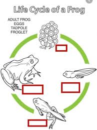 Pin On Printable Activities For Parents And Teachers