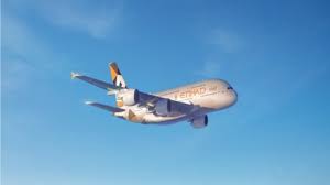 Image result for etihad airbus crash