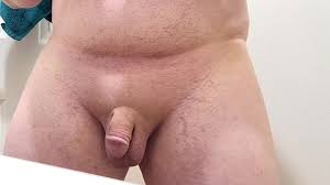 Sauber rasierter Penis