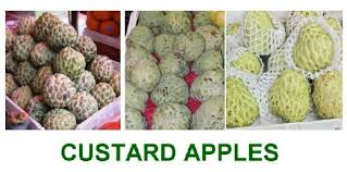 Information About Custard Apples Delishably