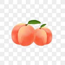Pink Peach Vector Pink Peach Blossom Flower Png Transparent Image And Clipart For Free Download In 2021 Watercolor Flower Illustration Peach Fruit Pink Wallpaper Backgrounds
