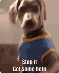 We did not find results for: Stop It Get Some Help Gifs Tenor